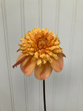 Sandia Brocade