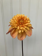 Sandia Brocade