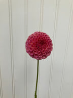 Koko Puff