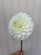 Brookside Snowball