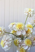 Mayberry's Petticoat