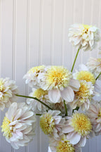 Mayberry's Petticoat