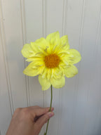 Yellow Bird