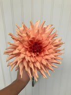 Terracotta